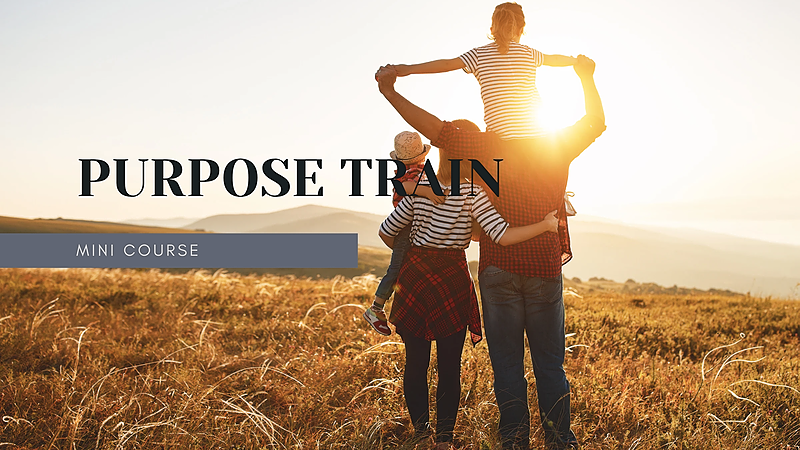 Purpose Train